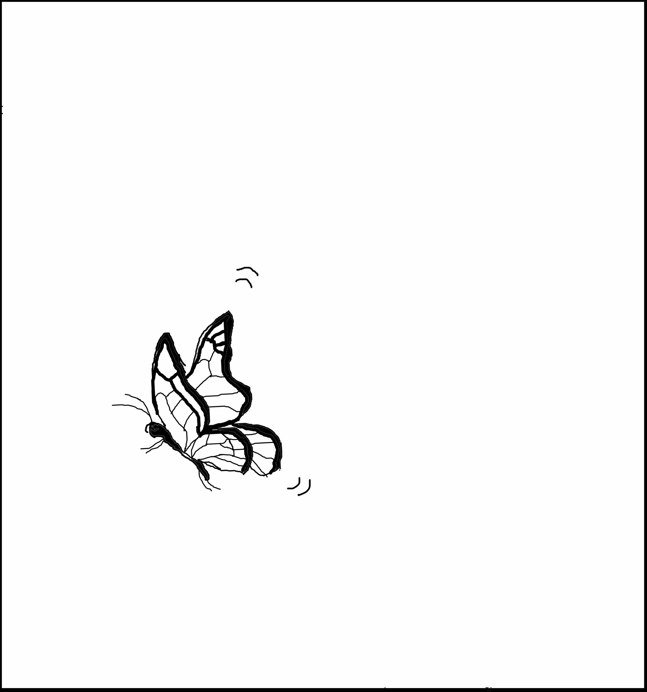 dec11frame.jpg