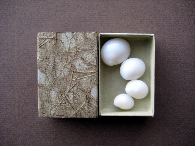 a3-matchbox-art-3-shells-2.jpg