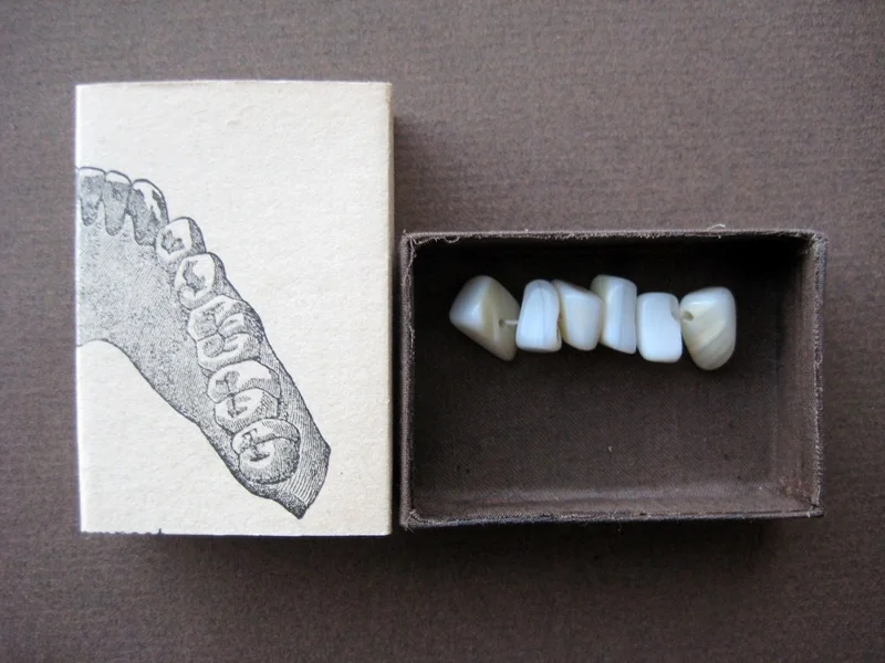 a6-matchbox-art-6-teeth-3.jpg