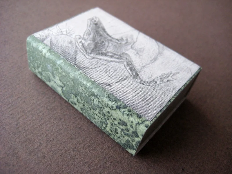b3-matchbox-art-12-frog-1.jpg