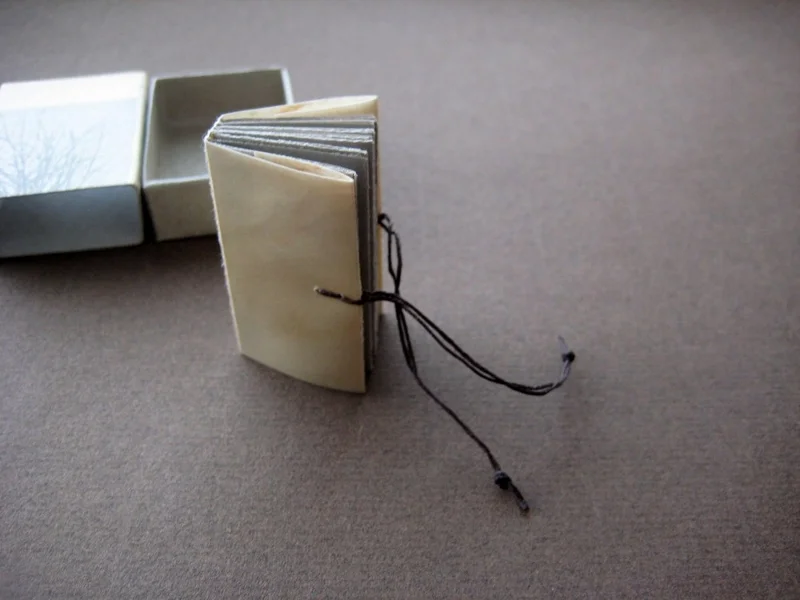 b5-matchbox-art-14-branches-5.jpg