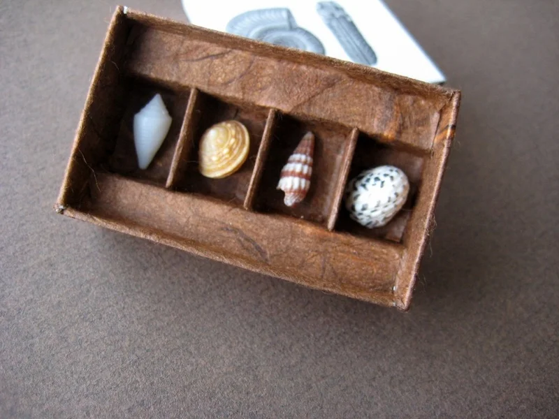 b8-matchbox-art-17-shells-5.jpg