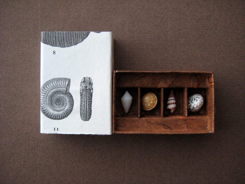 b8-matchbox-art-17-shells-4.jpg