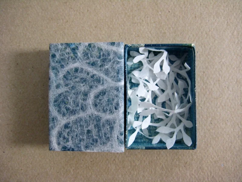 a8-matchbox-art-8-exploding-leaves-2.jpg