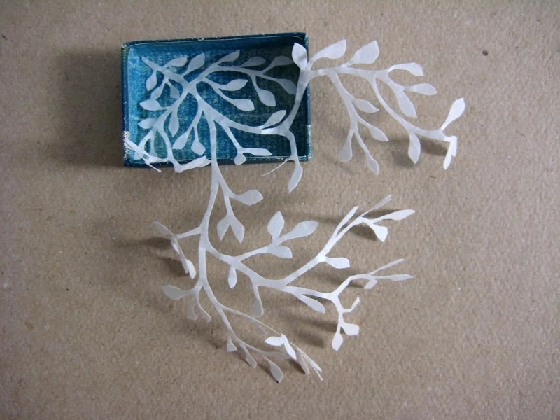 a8-matchbox-art-8-exploding-leaves-4.jpg