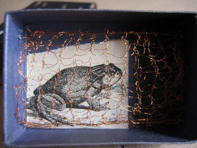 b1-matchbox-art-10-frog-5.jpg