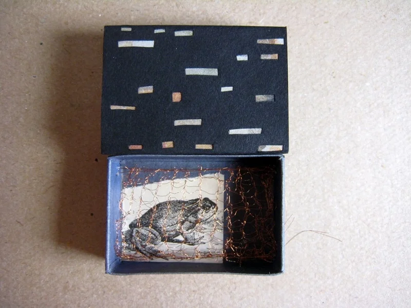 b1-matchbox-art-10-frog-7.jpg