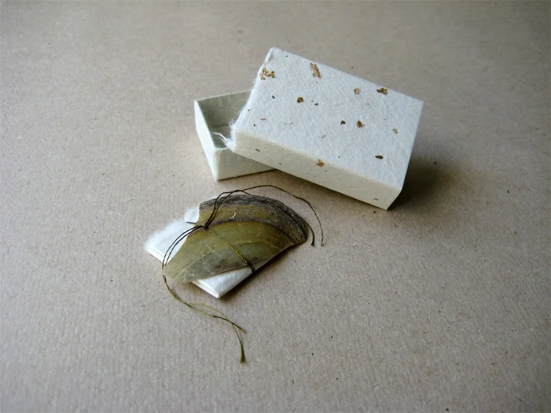 v2-matchbox-art-gold-shell-4.jpg