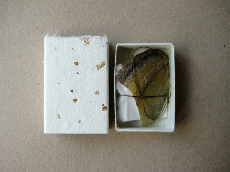 v2-matchbox-art-gold-shell-3.jpg