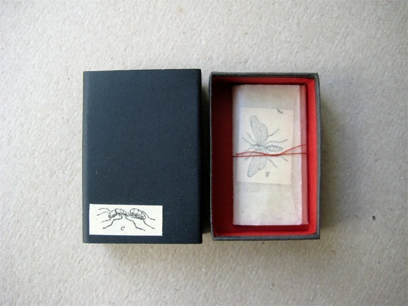 v7-matchbox-art-red-ant-3.jpg