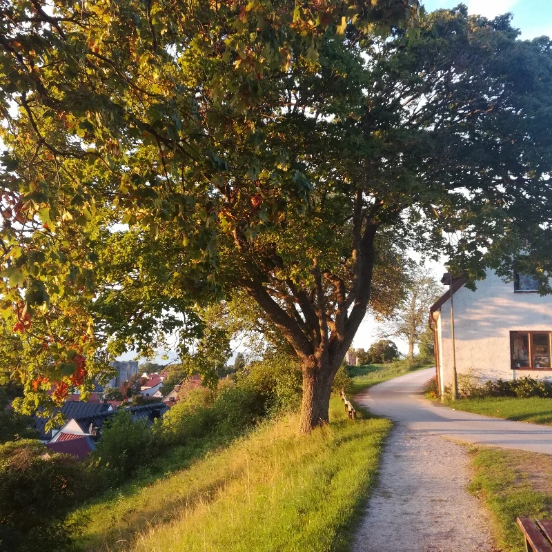 visby-sept-2018-1.jpg