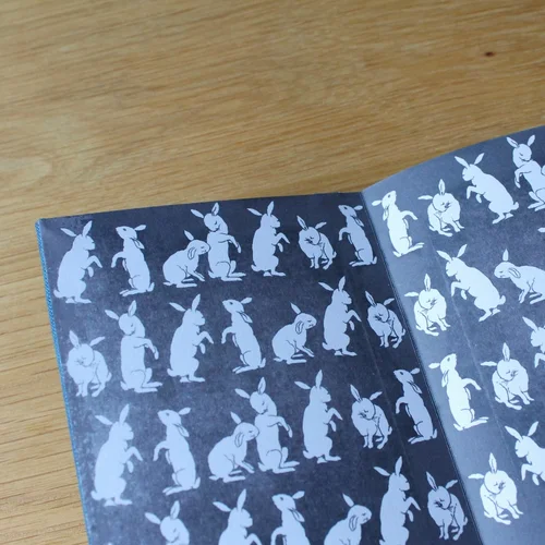 lovely bunnies + office hours today — paperiaarre