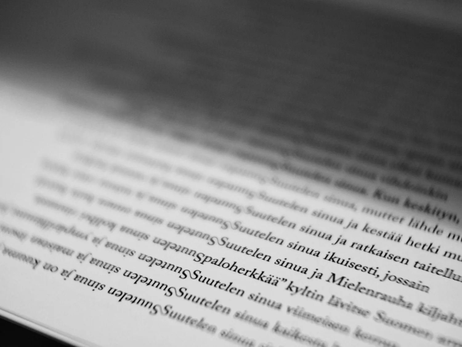 text fi 02.jpg