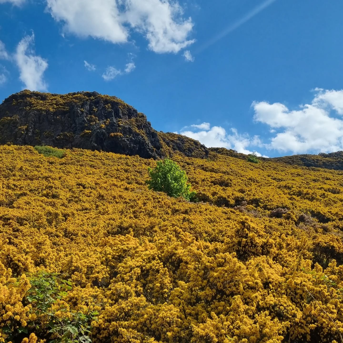 The Paperiaarre shop is open again! I've now returned from the incredibly lush Edinburgh where I had the privilege to stay at a wonderful writing recidency. So many long walks, big hills, old kirkyards, and vinegary treats!

As mentioned, the shop is