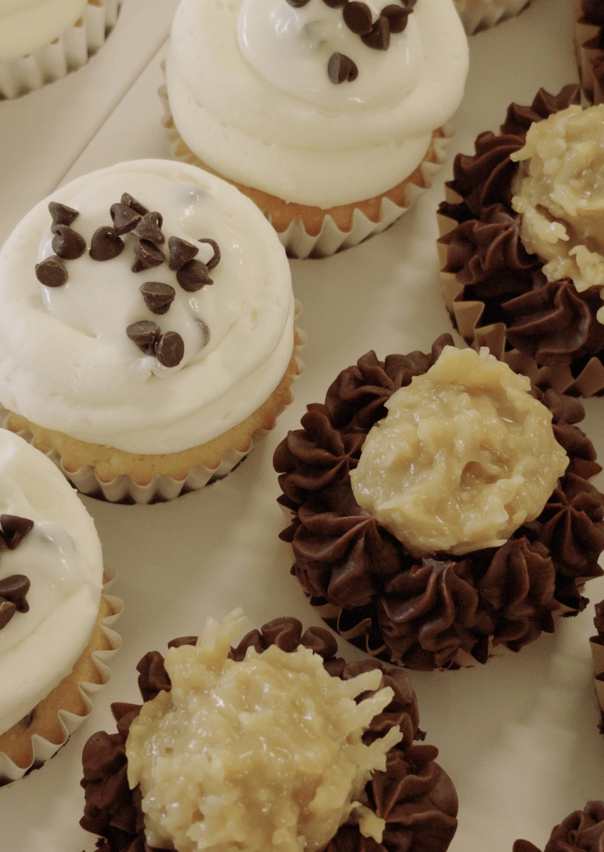 ofm 2026-03-27 100839C77CDD9DCA40.jpeg