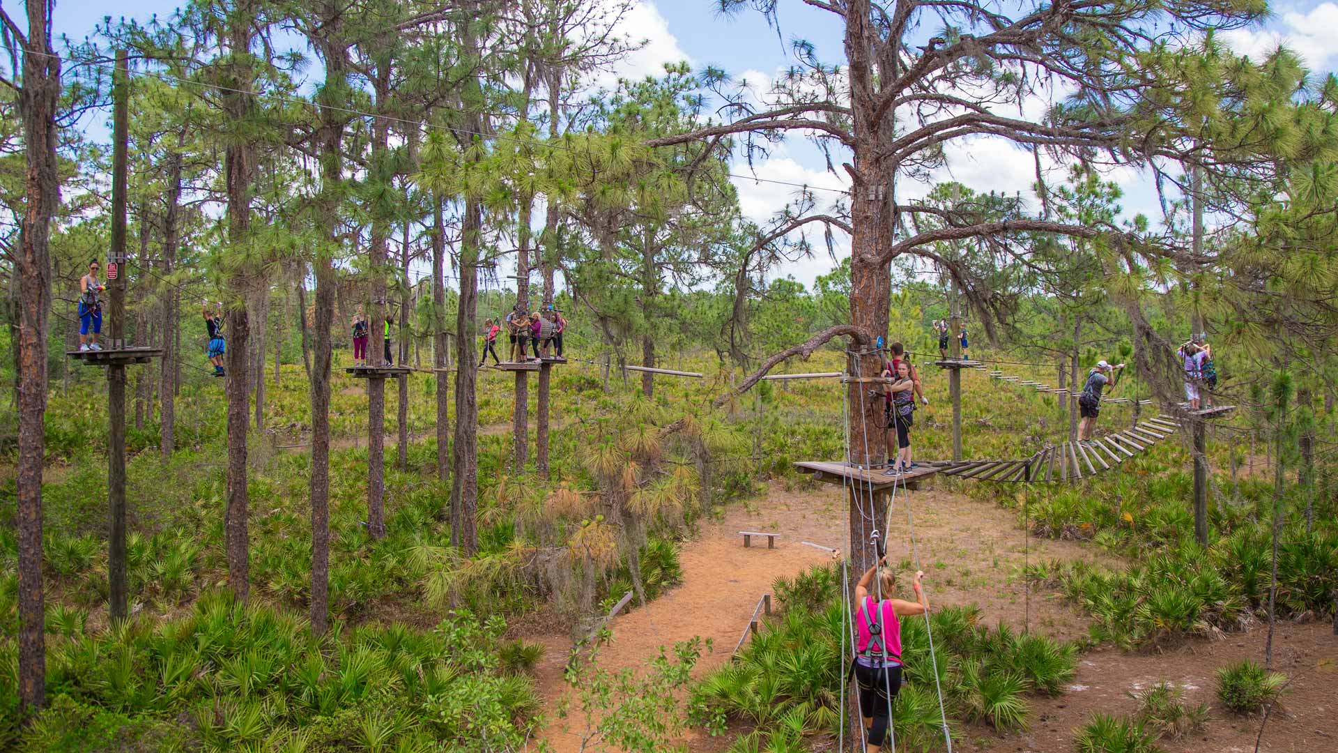 When was the last time you played in the trees?