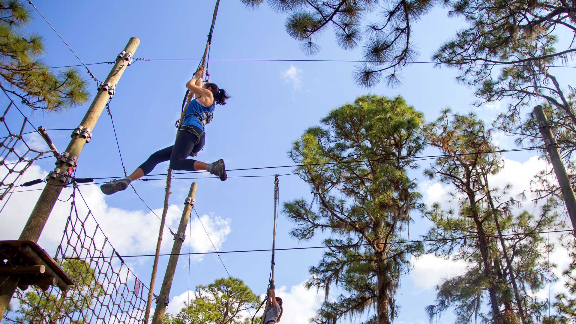 TreeUmph! Adventure Course  100+ Challenging Obstacles, Ropes, & Ziplines