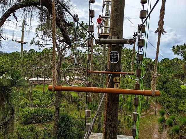 This way to Summit! #treeumph