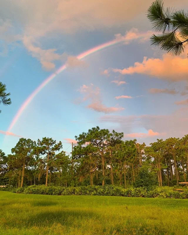 It&rsquo;s been a raining couple of days at the park but it&rsquo;s given us some nice views! 
#treeumph