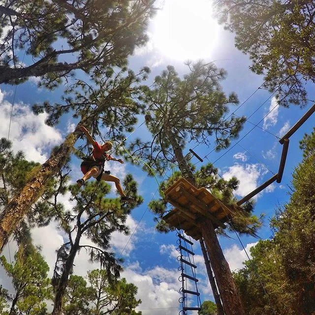 Our Create Team has been hard at work building something new for you to enjoy!
#treeumph