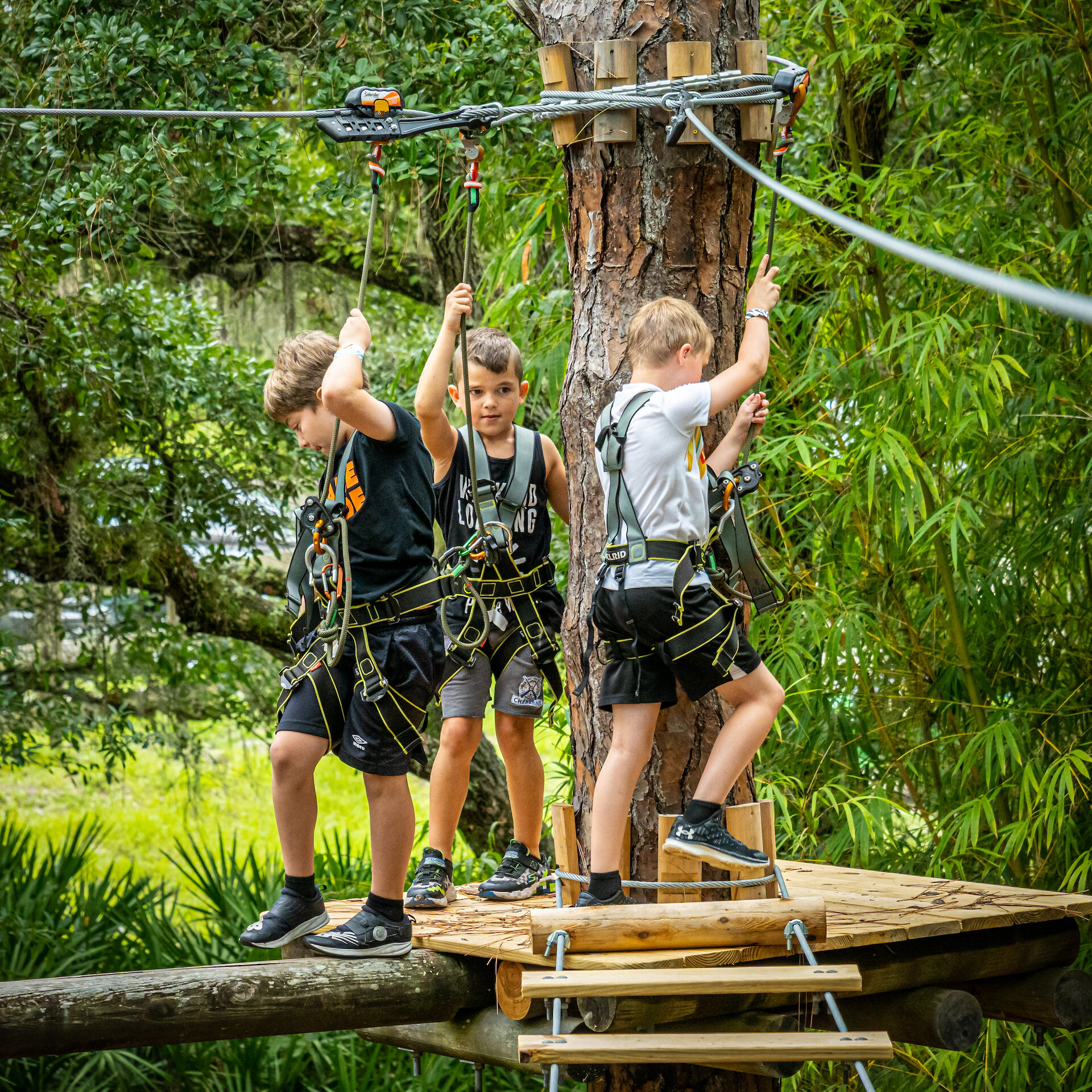 ape-kids-adventure-course-boys.jpg