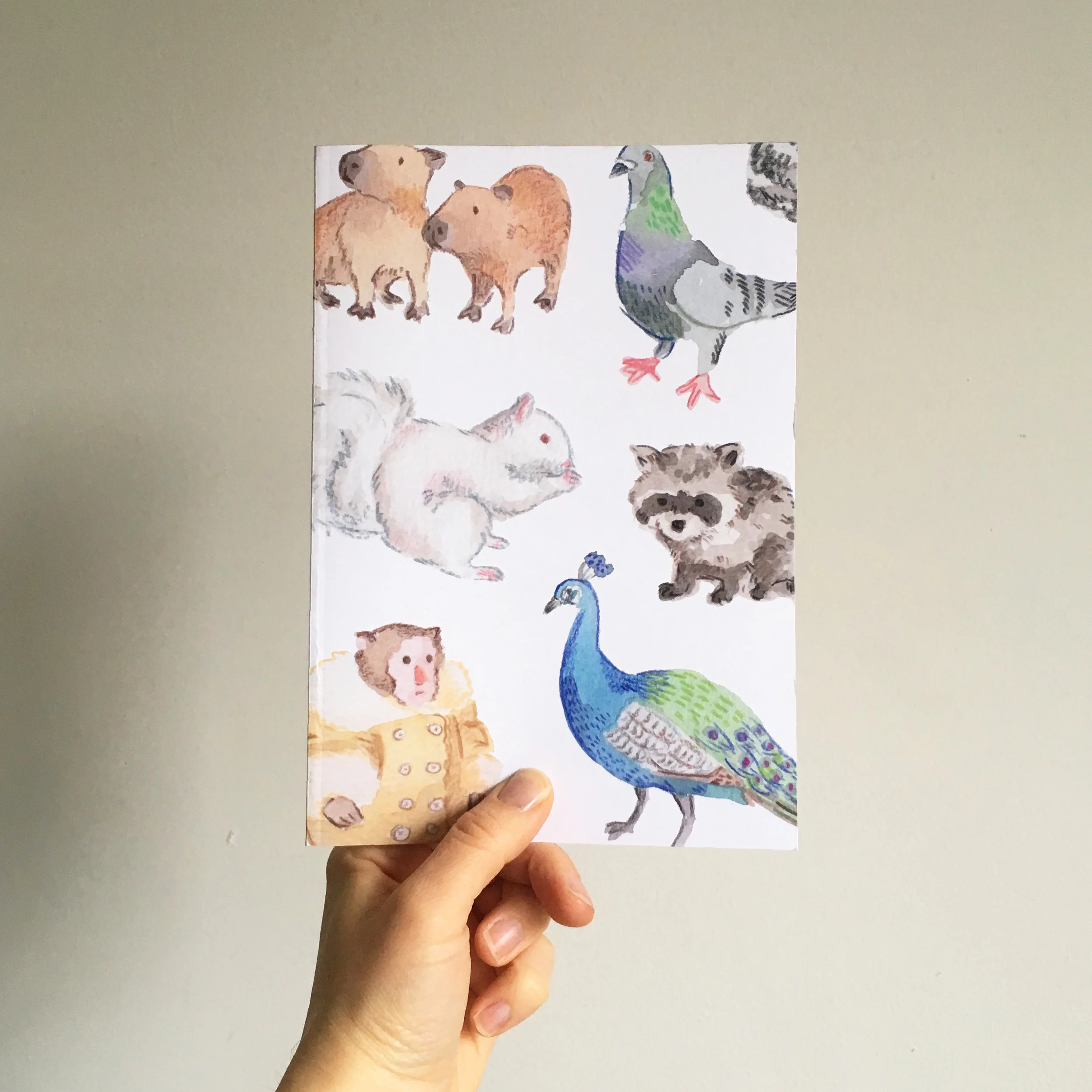 Front of notebook.jpg