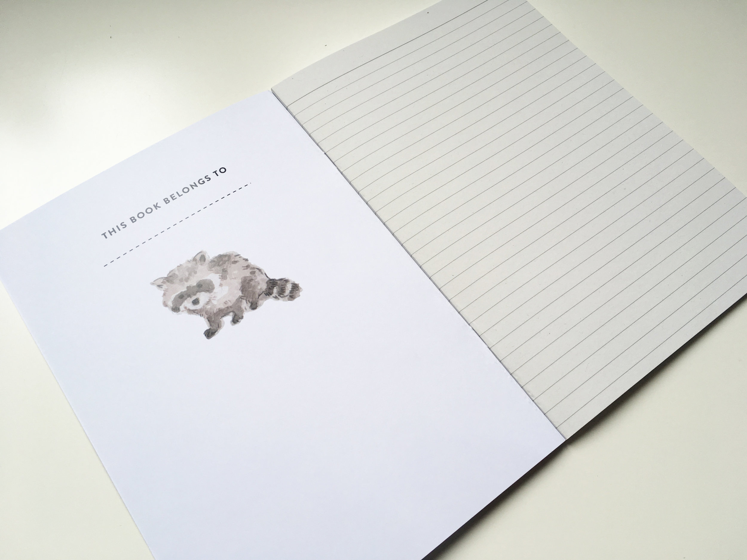 lined paper.jpeg