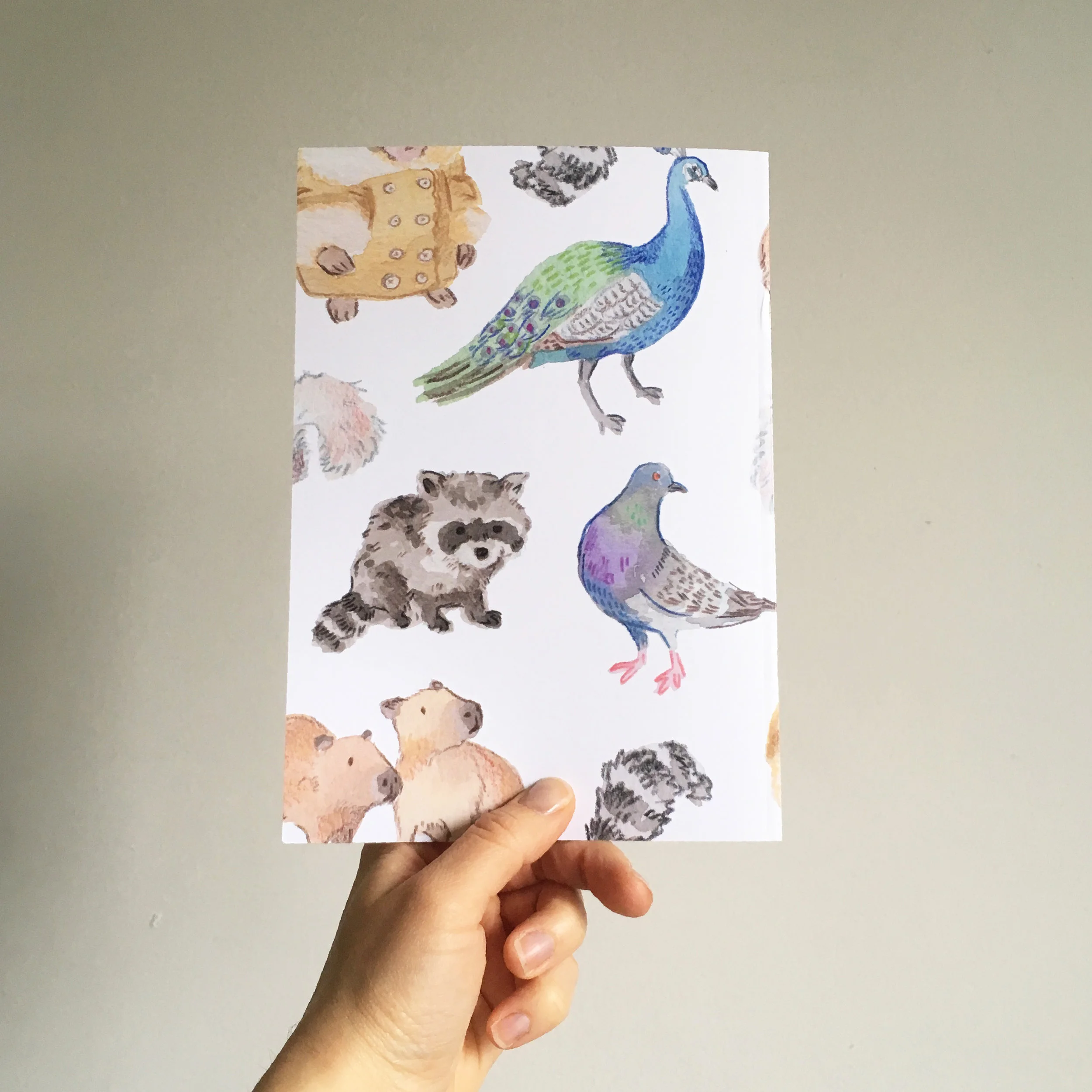 Back of notebook 1.jpg
