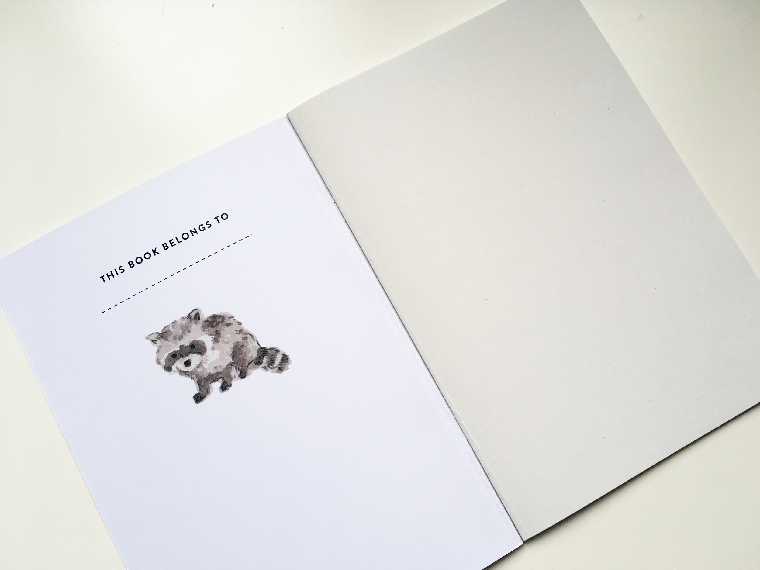 plain paper.jpeg