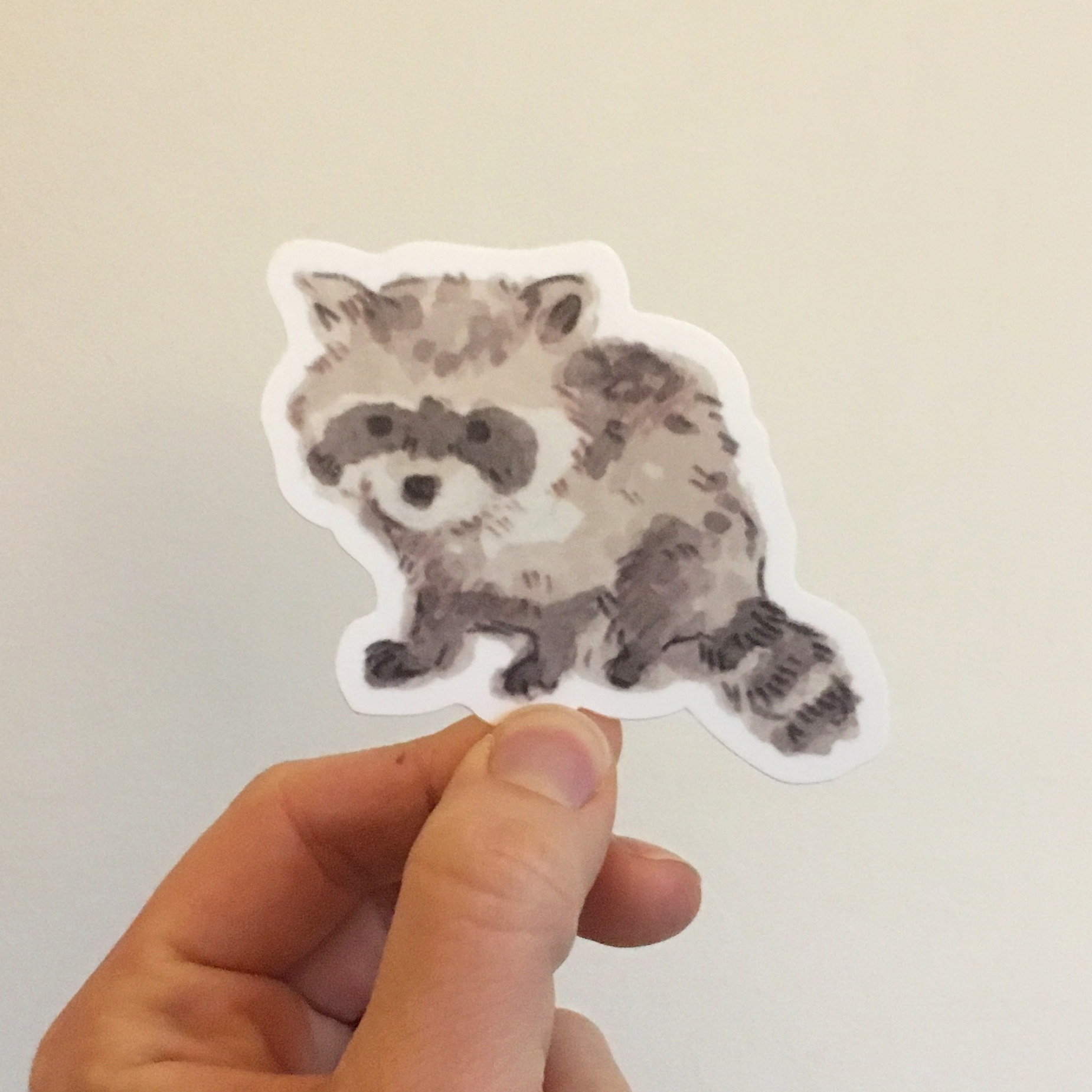 baby raccoon copy.jpg