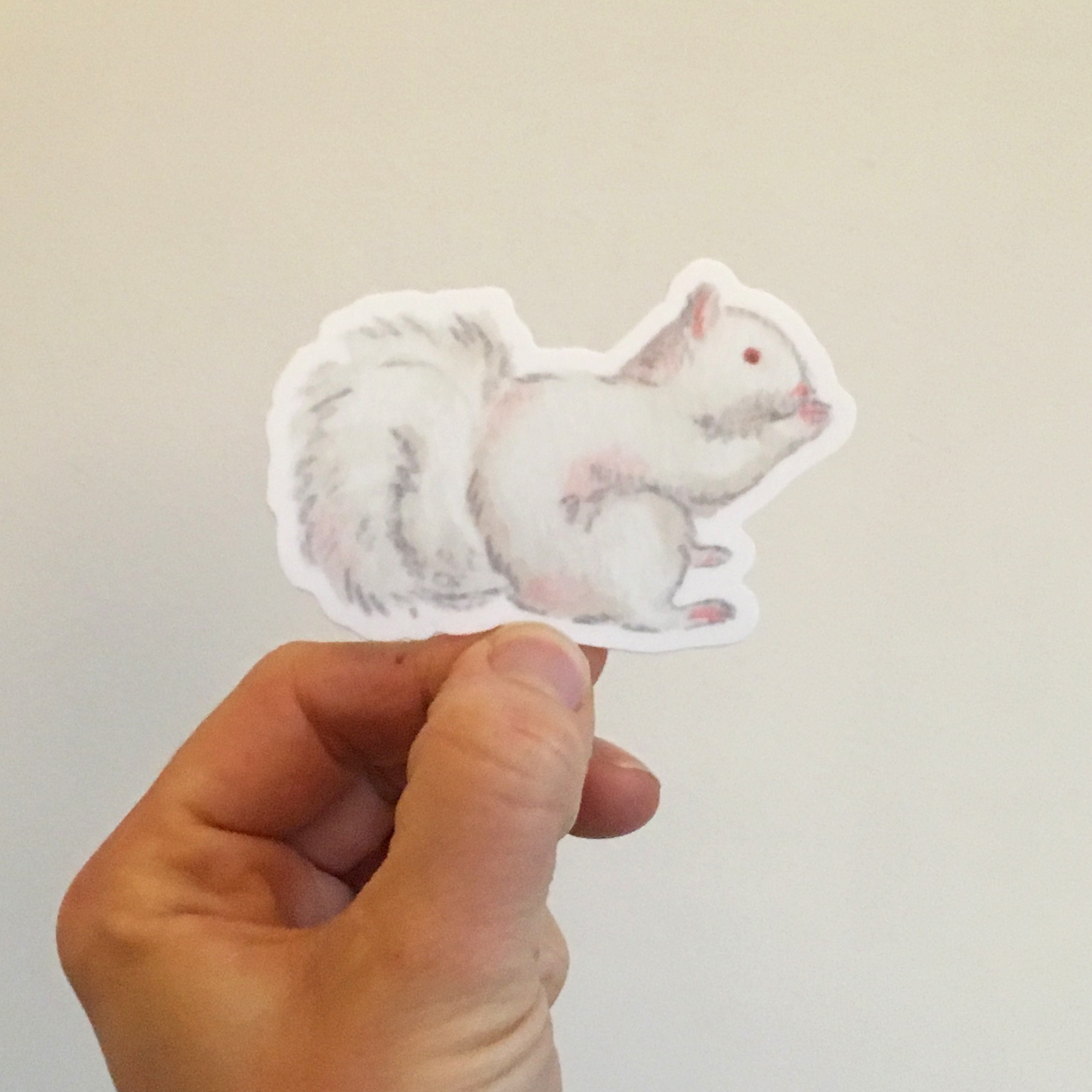 White squirrel sticker 1 copy.jpg