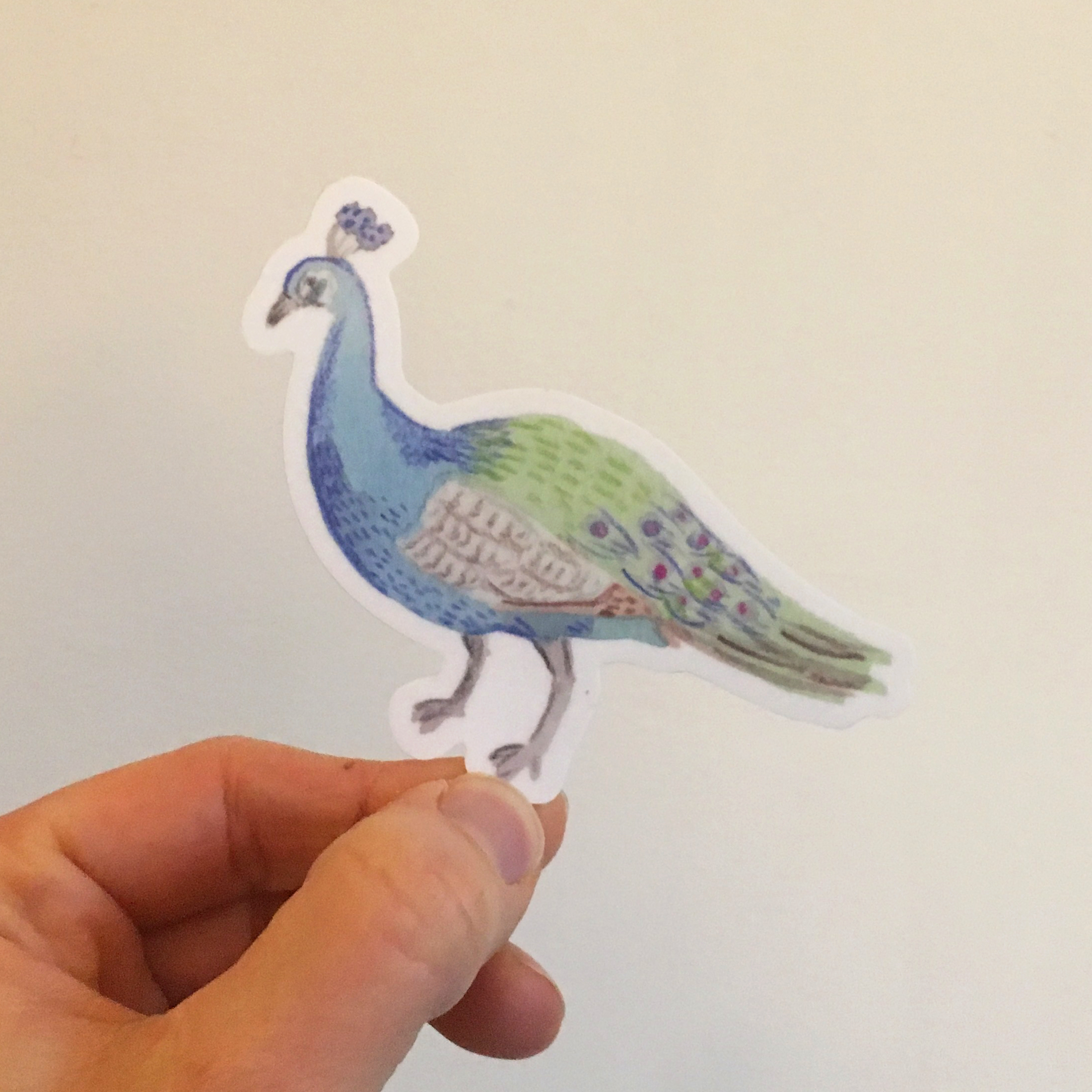 Peacock sticker copy.jpg