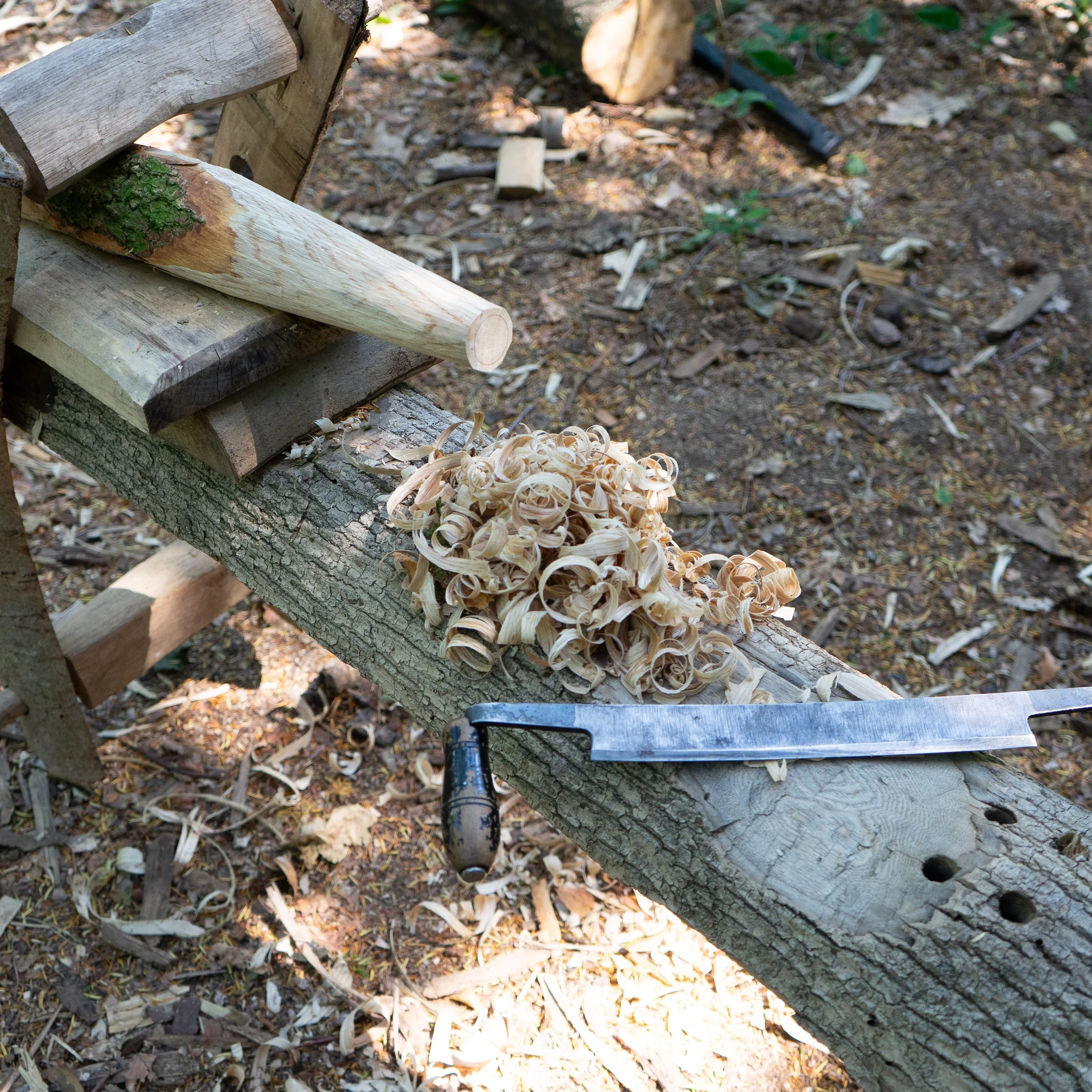 2019-06-26 12.10.09-2.jpg