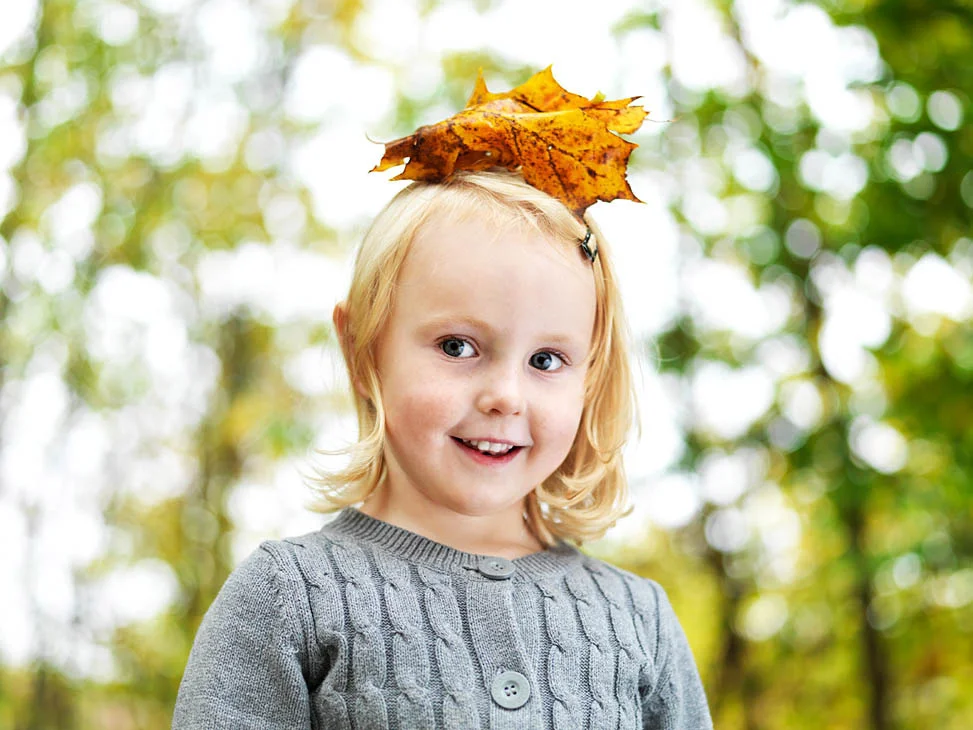 Autumn01_webb.jpg