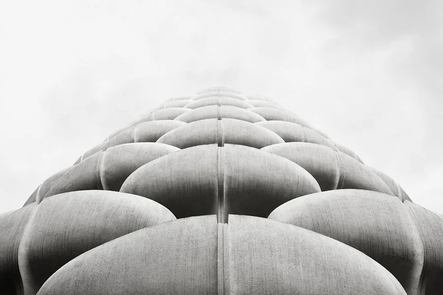 LeChoux08_webb.jpg