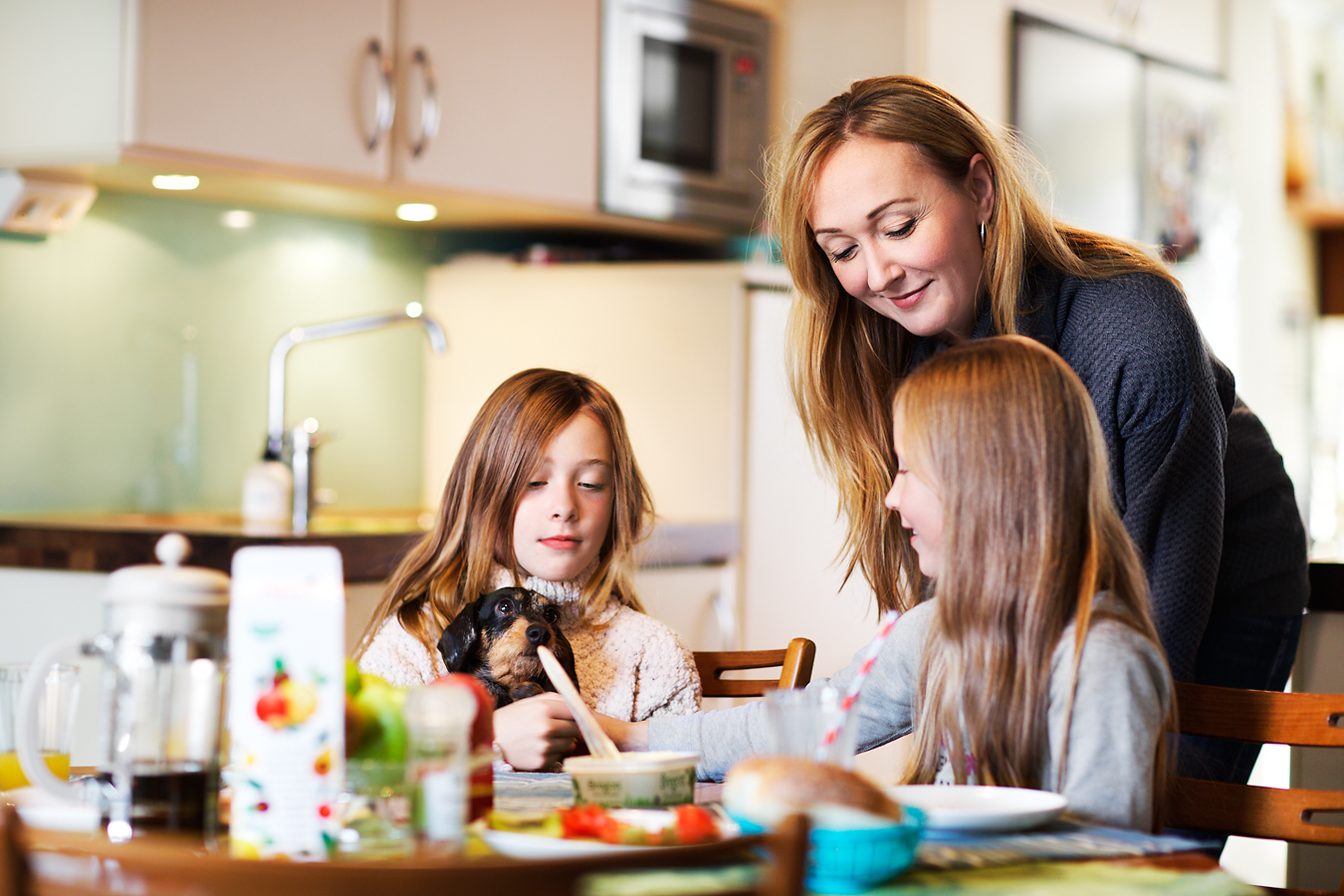 Wallenst06_webb.jpg