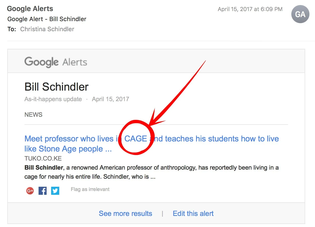Google Alert Cave.jpg