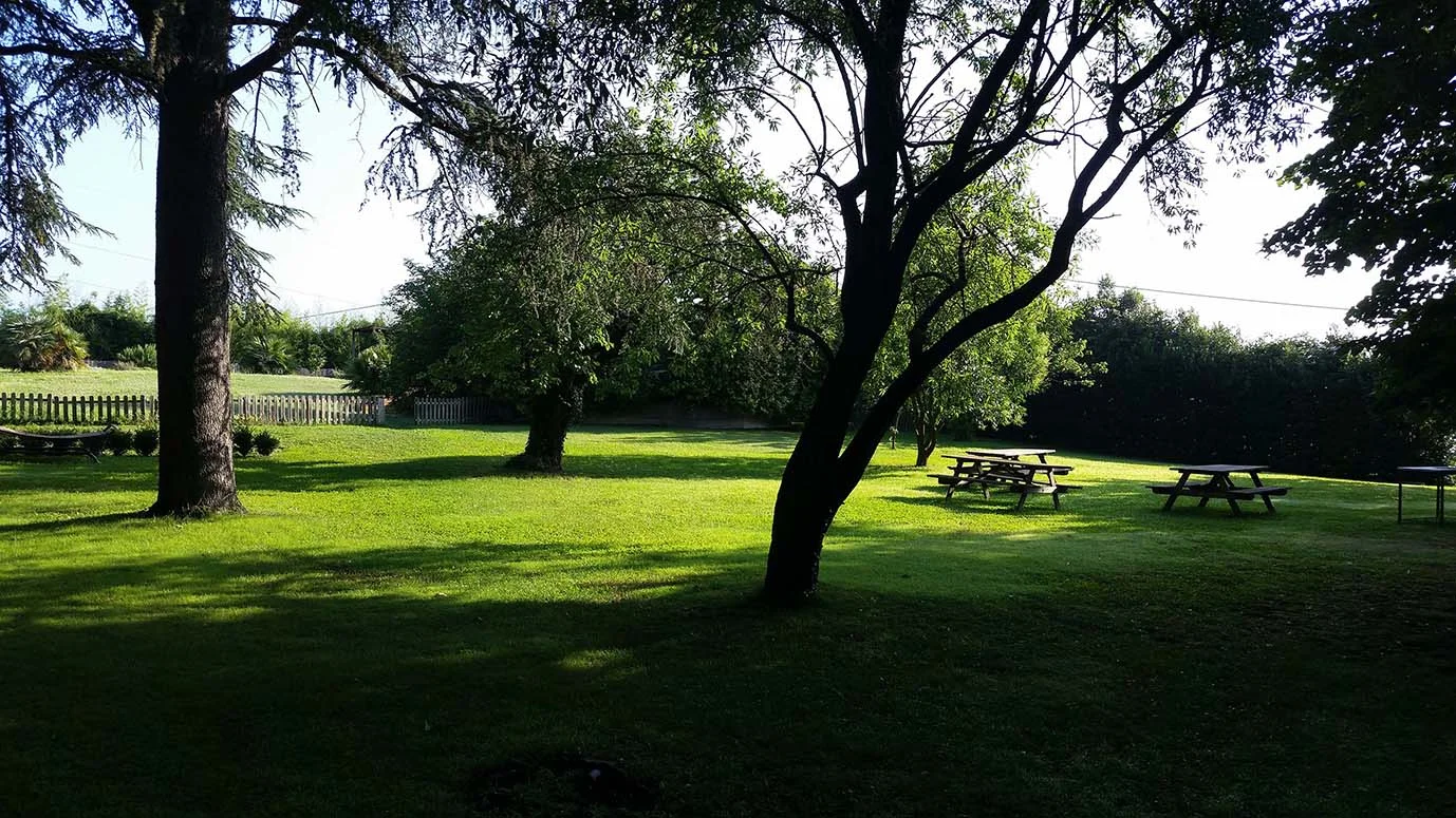 back garden