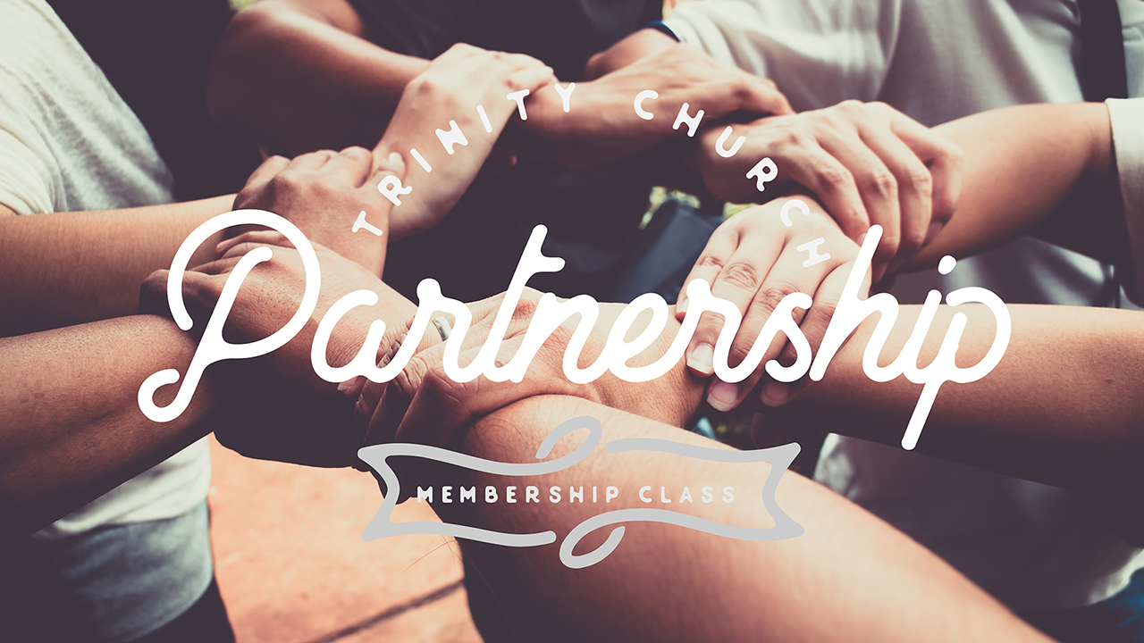 Partnership WEB HD.jpg