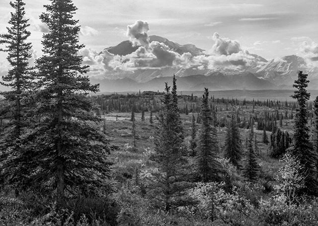 A shot of Denali when I used to use B&amp;W film 2008. .
.
.
.
.
#denali #travel #blackandwhite #film #filmphotography #alaska #viajar #adventure #aventura #trekking #hiking #camping #outdoors #clouds #mountains