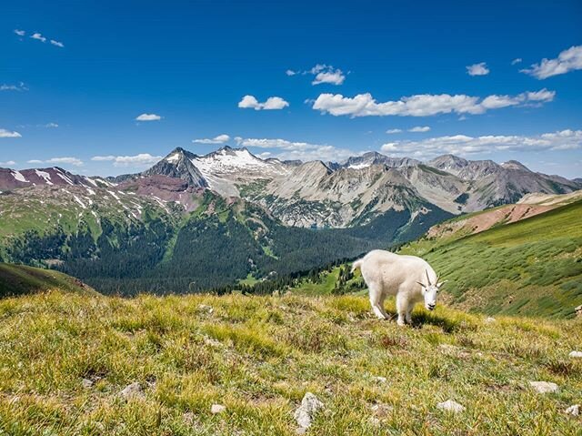 Hiking near Snowmass CO. #backpacking #colorado #4passloop #snowmass #camping #hiking #outdoors