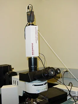 microscope.jpg
