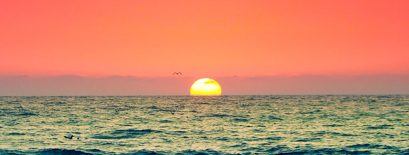 2-YogaGarage-KGSunset-Cropped2.jpg