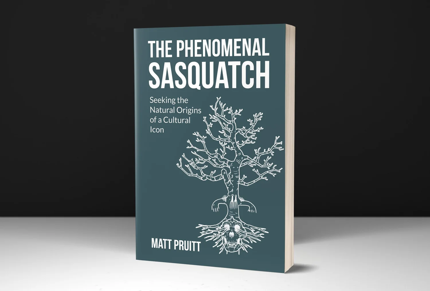 About the Book — Matt Pruitt