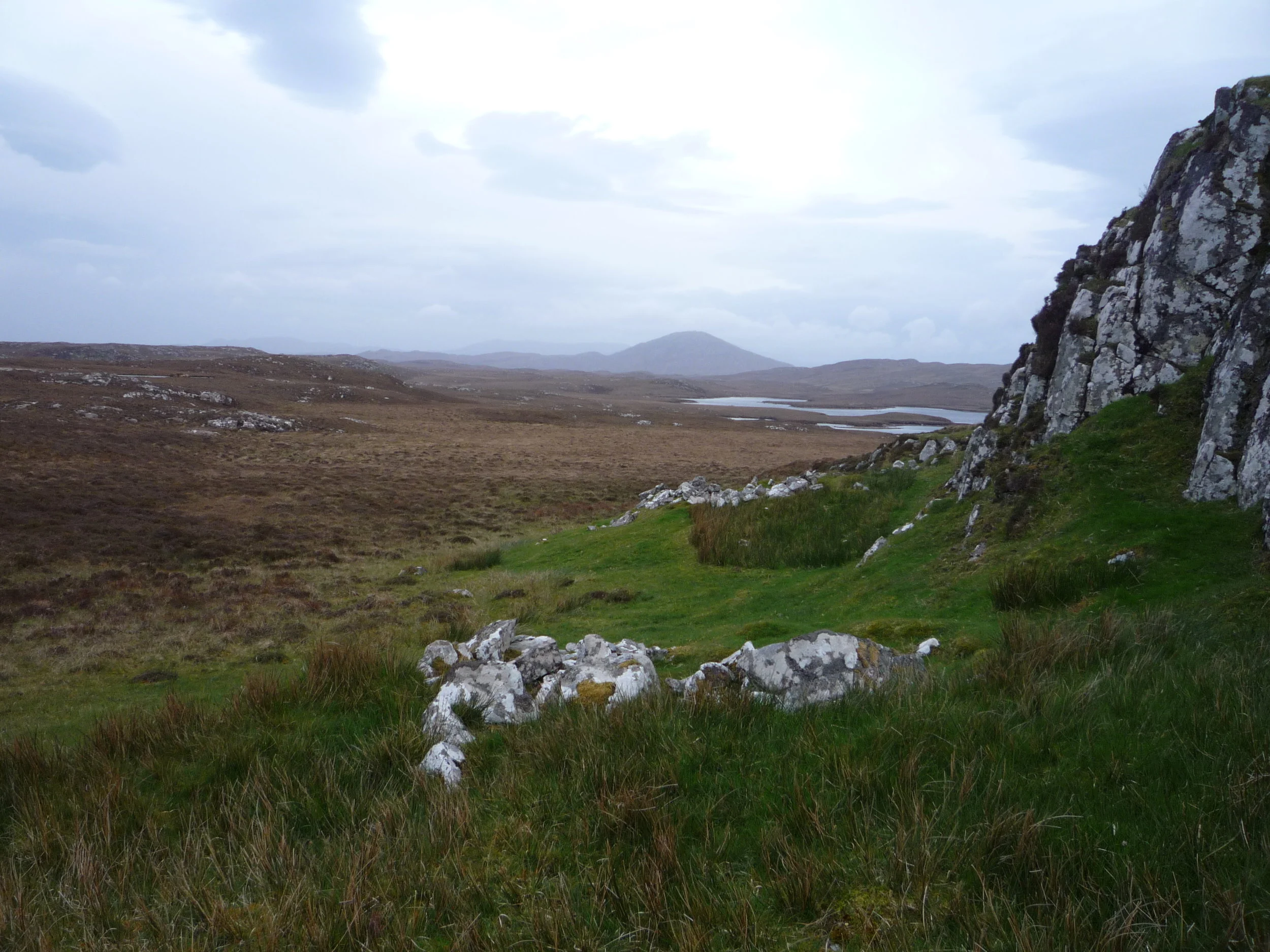 COME HOME, DONALD - Alastair McIntosh