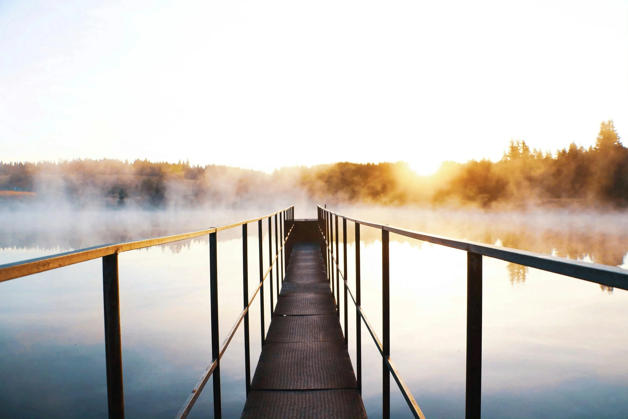 MY BODY, THE BRIDGE: FINDING BELONGING AFTER DISPLACEMENT ~ Olga Naroditskaya