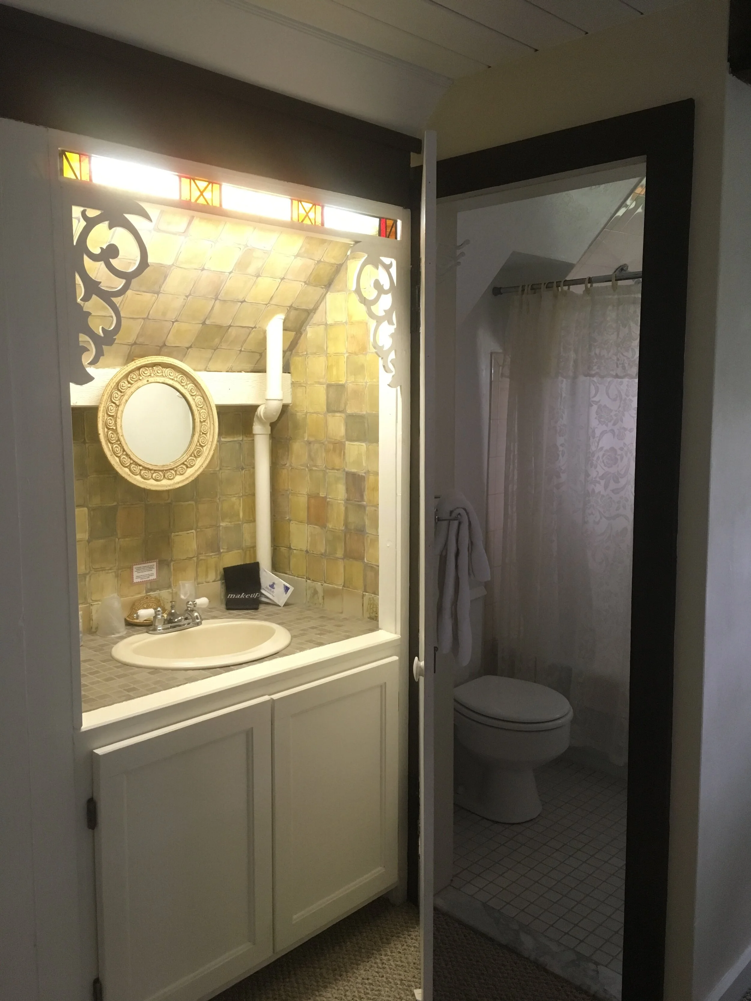 Buttonbush new 2.JPG