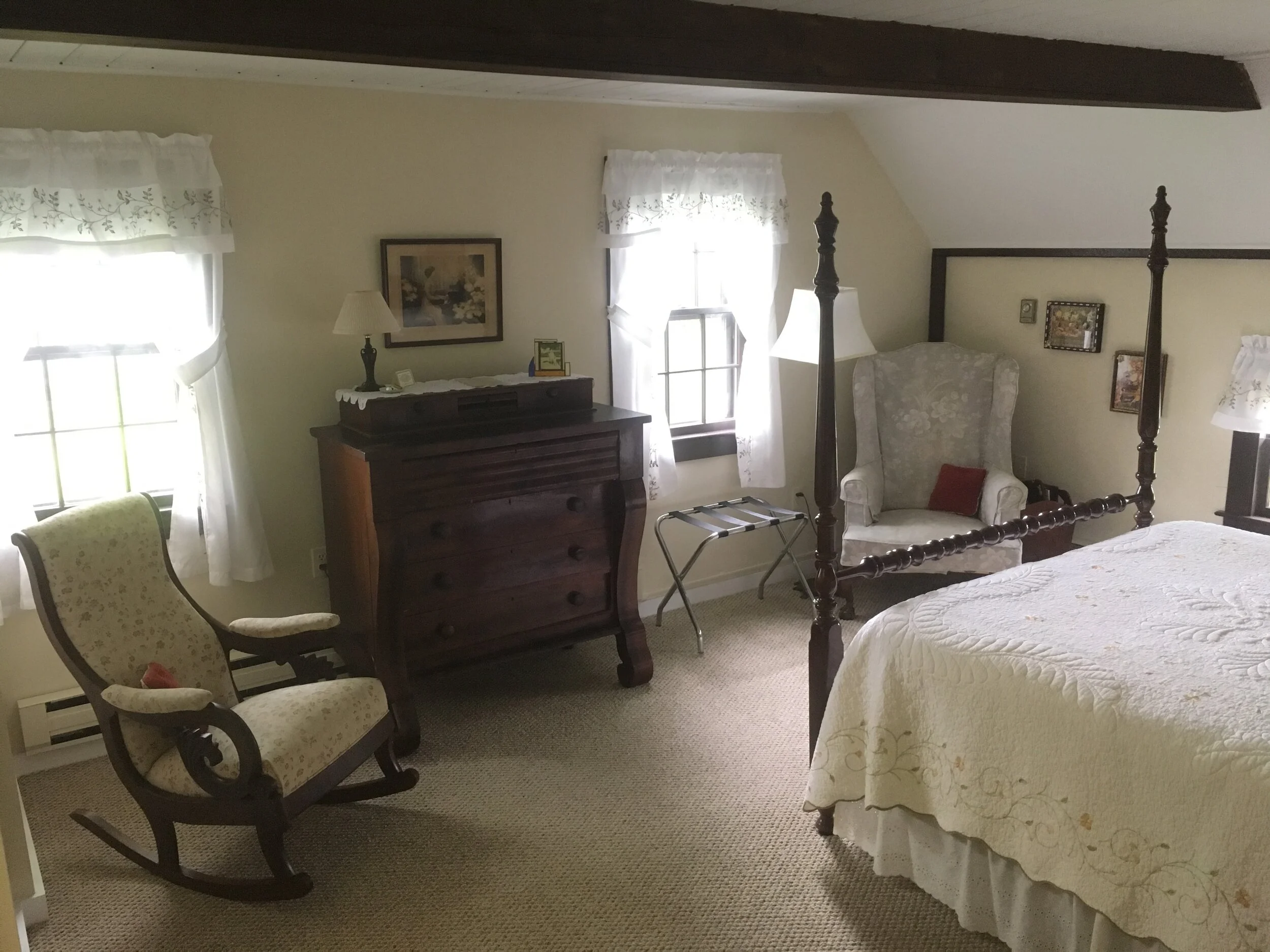 Buttonbush new 1.JPG