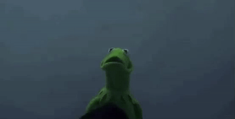 kermit 30.jpeg