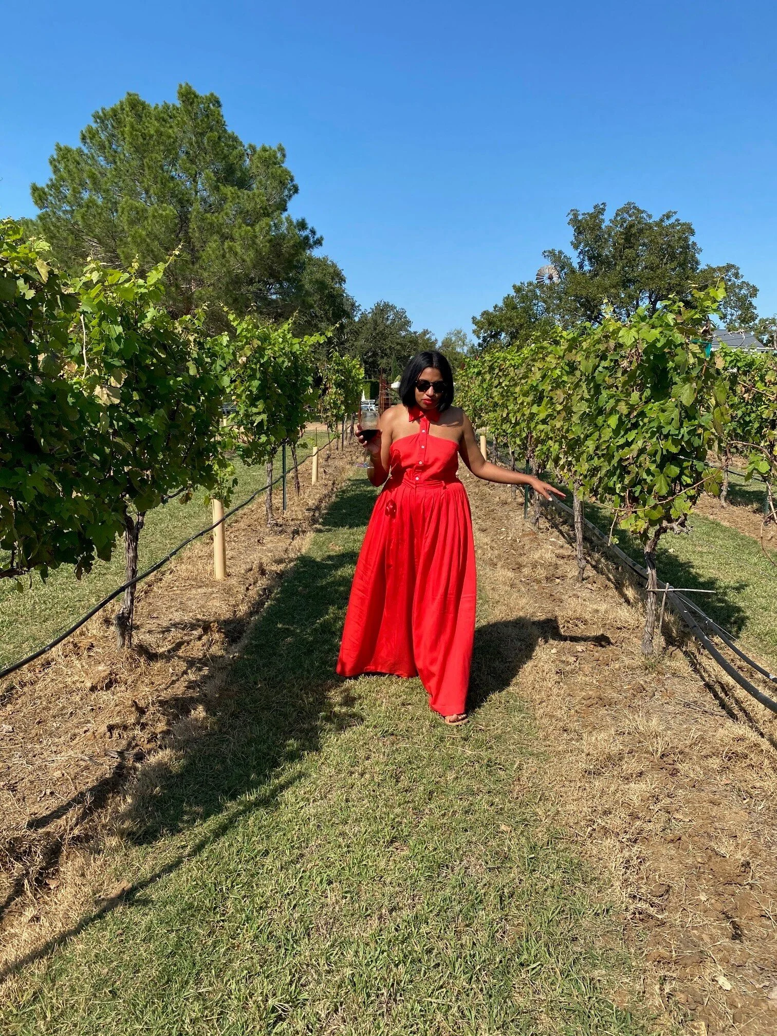 Down In Valley Where the Girls Get (Wine) Wasted